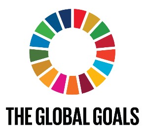 全球永續發展目標報告